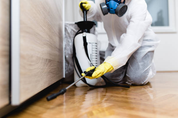 Best Best Pest Control Companies  in Poplar Bluff, MO