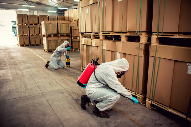 Best Emergency Pest Control  in Poplar Bluff, MO