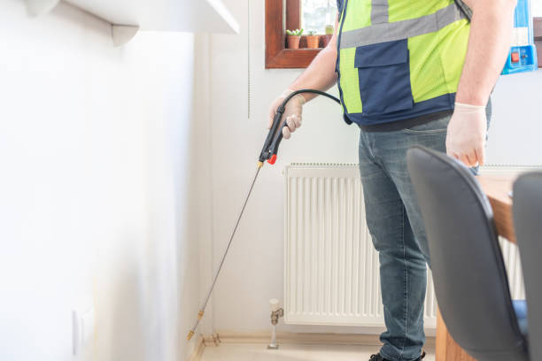 Best Termite Control Services  in Poplar Bluff, MO