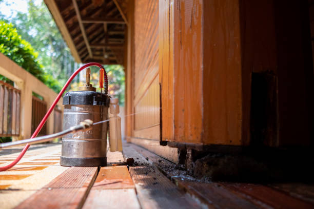Best Affordable Pest Control Services  in Poplar Bluff, MO